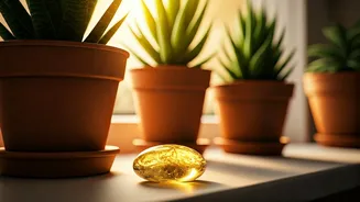 Unlock Radiant Health: 5 Simple Habits to Naturally Boost Vitamin D