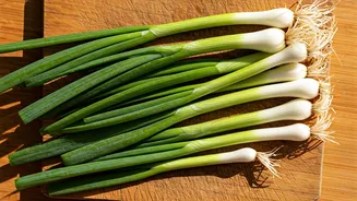 Spring Onion Delights: 10 Dishes to Savor