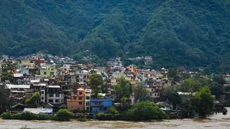 A Practical Guide To Managing Musty Smells During India's Monsoon