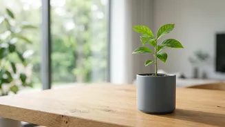 Everyday Saving And Investing Habits Take Centre Stage In Wealth Building: The Story's Essential Context