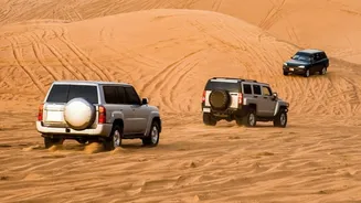 Gujarat To Get A First-Of-Its-Kind Desert-Themed Drive-Through Safari