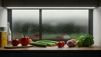 Clean Kitchens Have Entered Rainy Food Planning