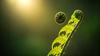 Related Stories banner