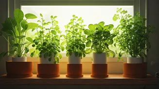 Soil-Free Indoor Greenery Is Small-Space Friendly