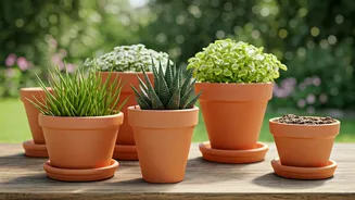 Ditch Plastic: Choose Earthy Terracotta Planters For Sustainable Styling