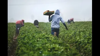 Building Conscious Food Systems: A Path to Sustainable Agriculture