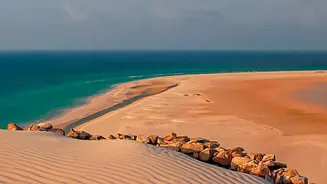 Qatar's Desert And Coast Experience Offers A Quick Look At Desert And Sea Attractions