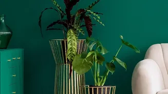 Planter Scale Should Match Both The Plant And The Furniture Around It
