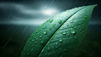 Rain Doesn't Always Mean Lower UV Risk