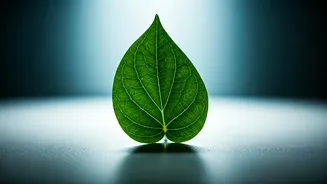 Related Stories banner