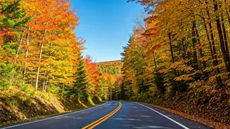 Vermont's Autumn Majesty: A Foliage Road Trip