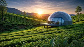 Secluded Munnar Eco Domes Overlooking Tea Plantations Go Viral