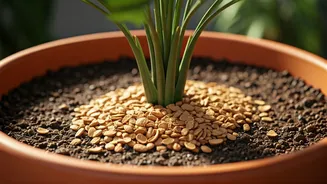 Boost Potting Soil Container Drainage Using Recycled Crushed Peanut Shells