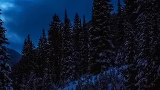 How Drive-To Travelers Can Navigate Mountain Hairpin Bends Safely In Winter Weather