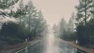 This Week's Rain-Alert Update: Travellers Should Not Rely on an Outdoor-Only Itinerary Alone