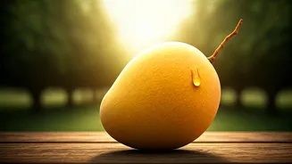 Lucknow Proves Why Indian Mangoes Dominate The Entire World