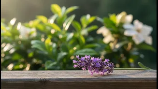 Fragrant Balconies Work Best When Plant Health Comes Before Plant Count