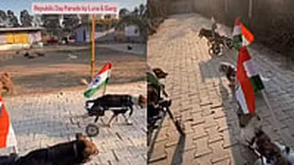 Republic Day Parade By Dogs; Furry Canines Walk With Tri-Colour Flag & Specially Made Vehicles | WATCH