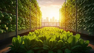 Become Urban Farming Specialist: Top Certification Courses For Youth