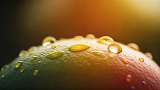 Mangoes & Water: Unveiling the Truth Behind the Post-Meal Drink Debate