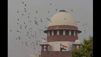 SC to Review AYUSH, Allopathic Doctor Parity