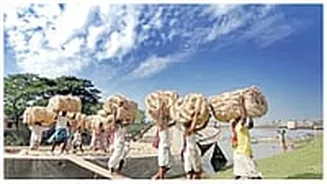 Centre Enhances Jute Mill Quotas, Cracks Down On Trader Hoarding To Support Farmers & Industry