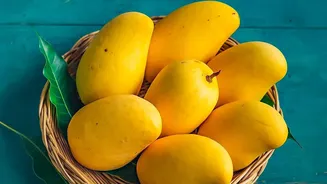 Karnataka Sends Two Regional Mangoes Into a Faster Global Supply Chain