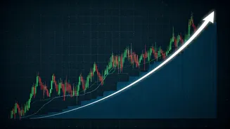 India's Financial Market: An Investor's Guide