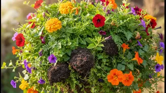 Hanging Basket Soil Should Not Stay Soggy After Every Shower