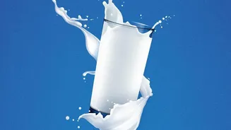 America's High-Protein Diet Trend Creates a New Dairy Supply Crunch