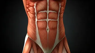 Plank Perfected: Mastering Core Strength in Your 20s for Peak Fitness