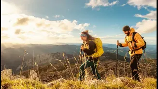 10,000 Steps a Day: How It Truly Impacts Your Body