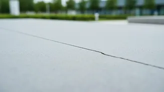 Bacteria Infused Cement Tested As Self Healing Solution For Monsoon Potholes On Roads