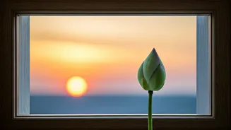 5 AM Affirmations: Unleash Your Best Self for a Day of Purpose and Peace