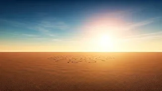 Millions Prep For Mass Outdoor Surya Namaskars This Yoga Weekend