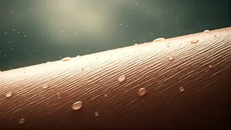 Why Your Face Feels Greasier During Monsoon