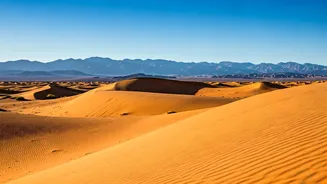 Unforgettable Moroccan Adventures: 5 Day Trips