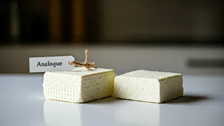 Gujarat Mandates Clear Labeling for Paneer Substitutes to Protect Consumers