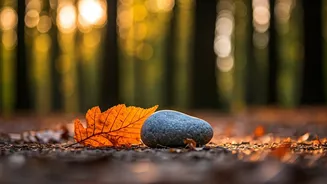Forgiveness Can Lead You To Inner Peace