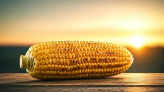 10 Sweet Corn Delights for Evening Snacking