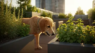Safe Herb Grazing Formats Drive Modern Rooftop Pet Zone Designs