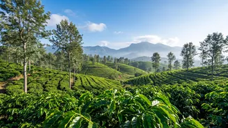 Coorg Coffee Estates Attract Digital Nomads With High-Speed Fiber Internet And Green Views