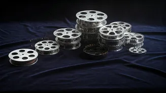 Bollywood's Tinsel Town Titans: Celebrities Starting with 'T'