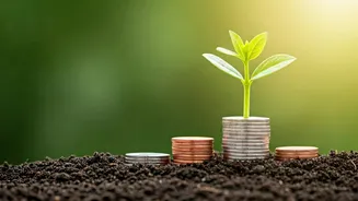 Gen Z Is Learning Before Spending