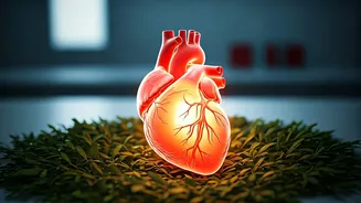 Related Stories banner