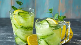 Boost Daily Hydration Fast Infuse Plain Water With Cucumber Mint Lemon For Detox