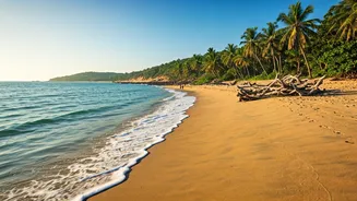 The Ultimate South Goa Empty Beach Budget Guide Today