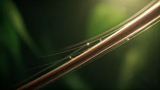 Unlock Lush Locks: 5 Essential Vitamins for Thriving Hair Growth