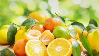 Zero-Waste Citrus Peel Preserves: Convert Leftover Orange Rinds Into Tasty Marmalades