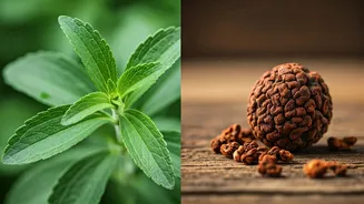 Stevia vs. Monk Fruit: Decoding the Best Sweetener for Blood Sugar Harmony